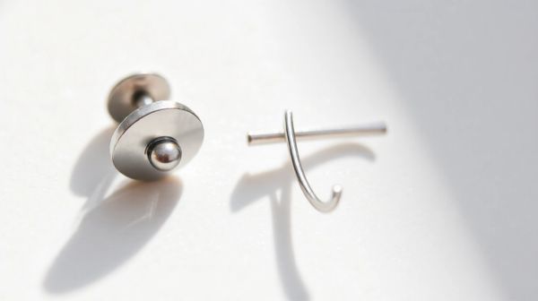 Top 5 piercings en acier inoxydable pour oreilles à découvrir