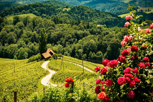 Comment intégrer des accessoires en strass dans une tenue quotidienne sans excès?